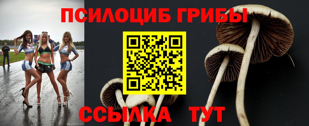 Альфа ПВП Ступино